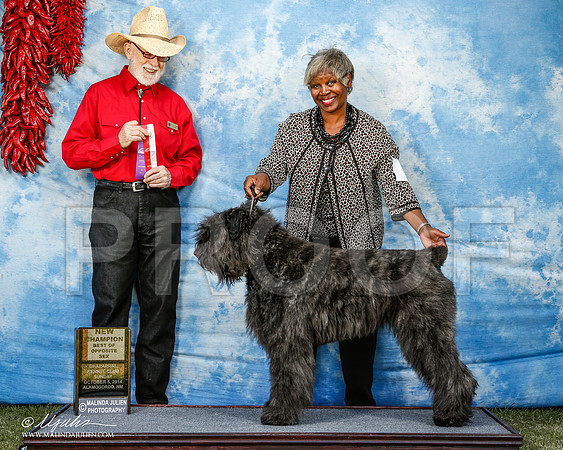 _ST_3210-2-AlamogordoOct2014-HR3