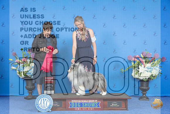 Shetland Sheepdog #23 THUR G2 Judge Ann Yuhasz__JP_8506_Houston_2024_HR3