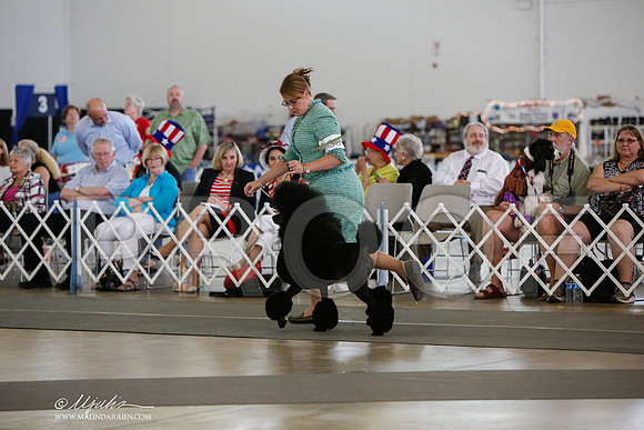 _JJ_2393-DallasJul2014-HR3
