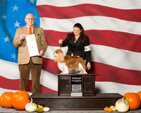 Cavalier King Charles Spaniels #5 Sun G4 Martenson Dale Agent Colette Livingston Judge Mr Merle Taylor