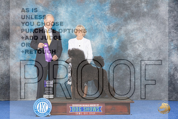 Poodle Standard #32 WED WBM Judge James Moses__JP_7383_Houston_2024_HR3