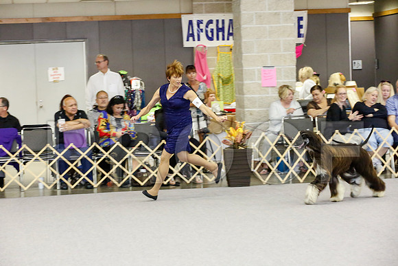 _JJ_1766-AfgBeltonOct2014-HR3