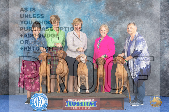 CUSTOM Vizsla Family WED__JP_7559_Houston_2024_HR3
