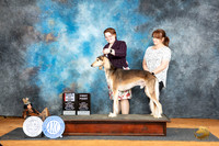 Saluki #9 Sat WDBOS Judge Timothy Robbins