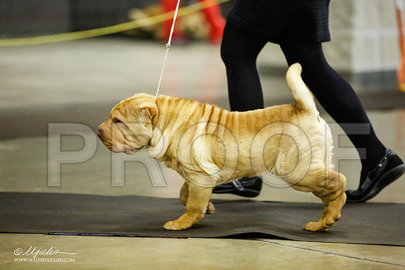 _JJ_5714-BeltonJan2015IABCA-HR3