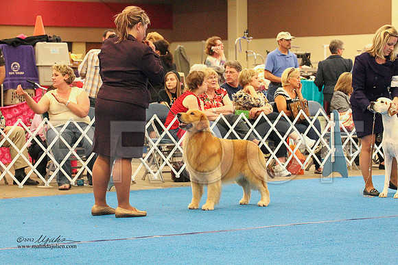 GrpSportSat-5418LR