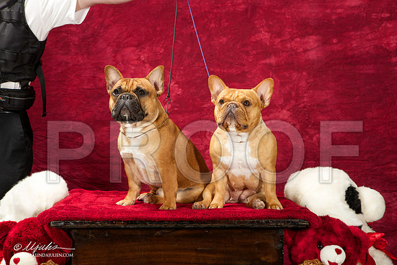_ST_2662-BeltonJan2015IABCA-HR3