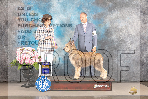 Berger Picard #6 Sat BOB Judge Carrie Chase_MJ_5166e2_Hstn2022-HR3