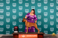 Boxer #234 Fri G2 Judge Keith Kozaklewicz