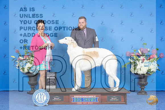 Borzoi #24 SUN G4 Judge Debbie Freeman__JP_0670_Houston_2024_HR3
