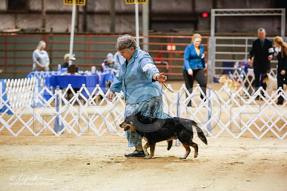 _JN_4962-2-GlenRoseJan2015-HR3