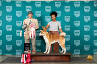 Japanese Akitainu #210 Wed BISS Judge Joseph Gudry