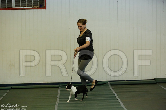 _JJ_2013-DentonMar2015-HR3