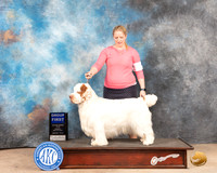Clumber Spaniel #5 Sun G1 Judge Lori Nelson