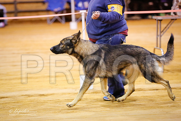 GSD-9177-MrshllDec13-HR