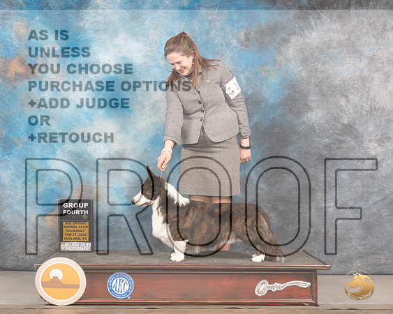 Cardigan Welsh Corgi #15 Thurs G4 Judge Barbara AldermanMMJ_2563_Mdlnd2022_HR3