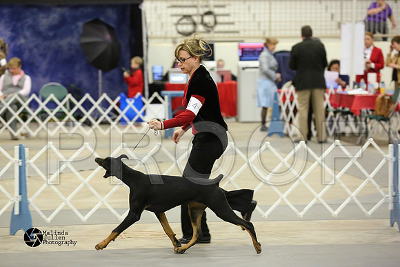 dobe-4886-MidFeb14-HR
