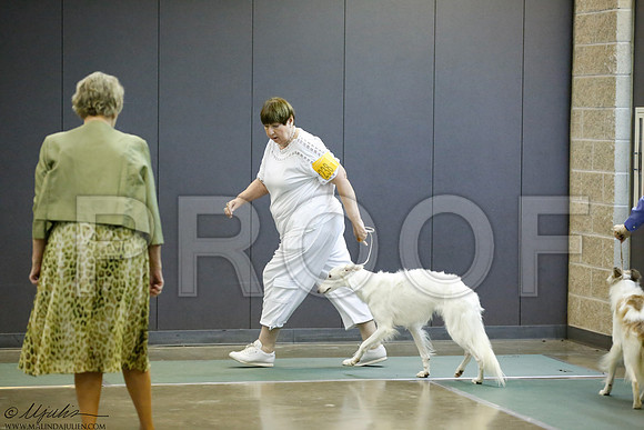 _J3L1228-BeltSep2014-HR