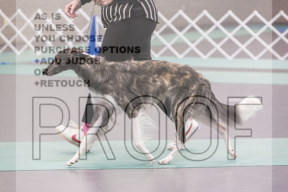Silken Windhound Ring Sat_JJL_8402_UKCLNGVIEWOCT2024_2024_HR3