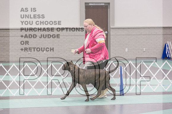 Cane Corso Sat Rings_JJL_8200_UKCLNGVIEWOCT2024_2024_HR3