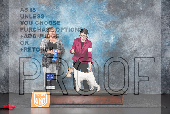 Wire Fox Terrier #136 Fri G1 Judge Tracey Kallas__JP_1136_UKCLNGVIEWOCT2024_2024_HR3