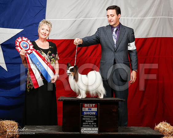_ST_2152-2-AmarilloSep2014-HR3