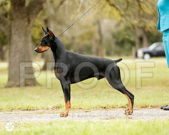 dobe-4655-HstnMar14-HR3