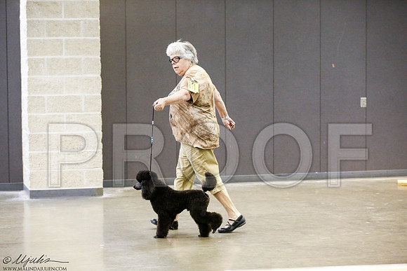 _J3L0169-BeltSep2014-HR