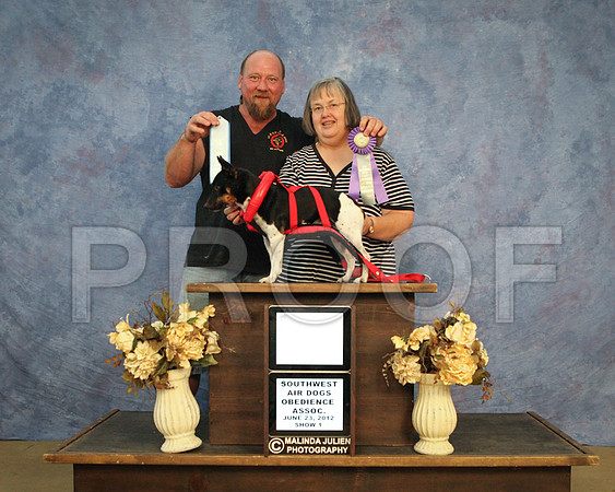 WpSat-2804 LR