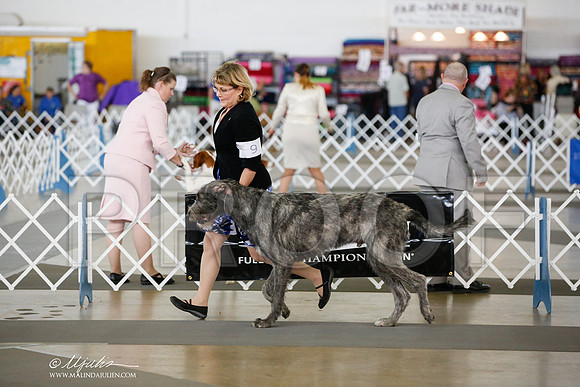 _JJ_4557-DallasJul2014-HR3