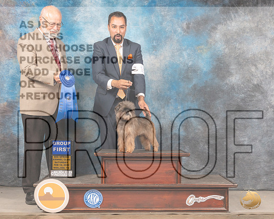 Affenpinscher #11 Sat G1 Judge Gary AndersenMMJ_4613_Mdlnd2022_HR3