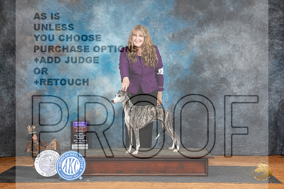 Whippet #14 Fri BOBOHBOB Judge Karen Hynek__JP_7395_MARSHALL_2024_HR3