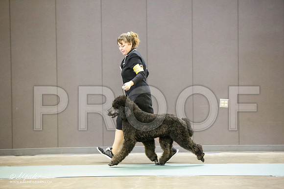 _LH_3118-BeltonJan2015-HR3