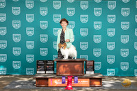 Papillion #114 Fri BF G2 CH No Judge