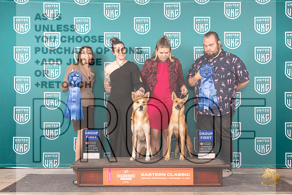 Carolina Dog #244 !97 G1 G1__JP_2382_UKCEastern_2024_HR3
