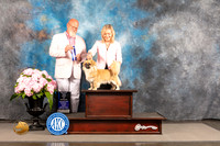 Tibbie #9 SAT WD BOW Major Judge Jeffery Bazell