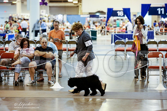 _JN_6497-HstnJul2014-HR3