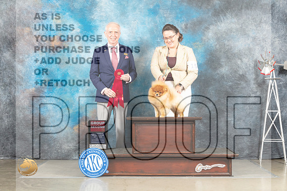 Pomeranian #15 Fri G2 Judge Fred Bassett_MJ_4190_Amarillo_2022_HR3