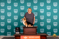 Pembroke Welsh Corgi #201 Fri RGCH TD Polly Jones