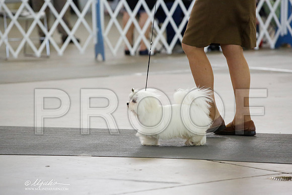 _CK_3021-DallasJul2014-HR3