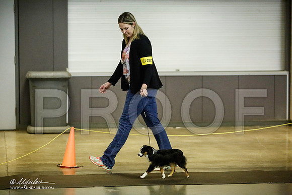 _JJ_6734-BeltonJan2015IABCA-HR3