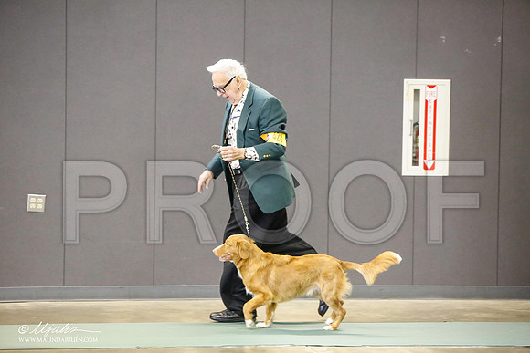_LH_3095-BeltonJan2015-HR3
