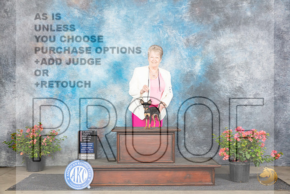 Russian Toy #8 Sat PG1 PRBIS Judge Wendy G Willhauck__JP_4790_San Antonio_2024_HR3