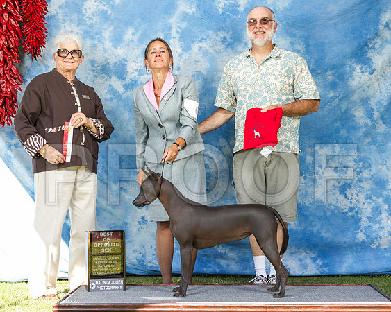 _ST_3042-AlamogordoOct2014-HR3