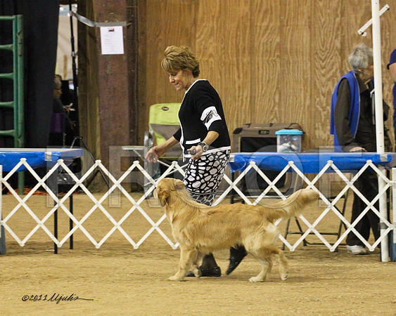 BIS Puppy-9128