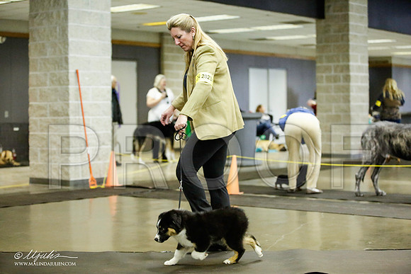 _JJ_6226-BeltonJan2015IABCA-HR3