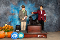 Havanese #? Sun BOB Judge Dan Dowling