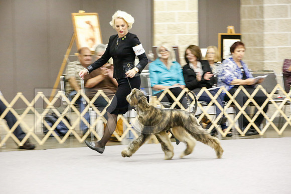 _JJ_9247-AfgBeltonOct2014-HR3