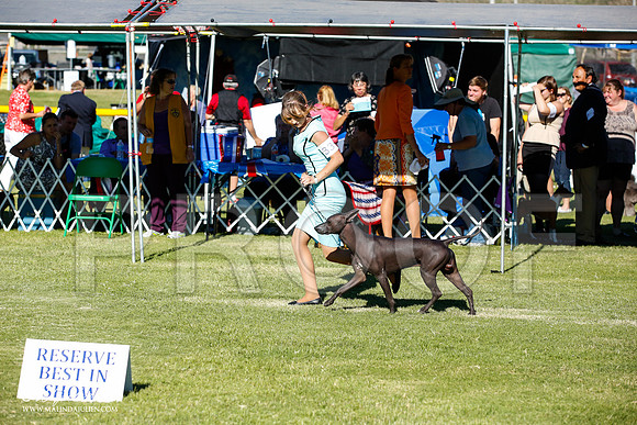 _JN_7701-AlamogordoOct2014-HR3