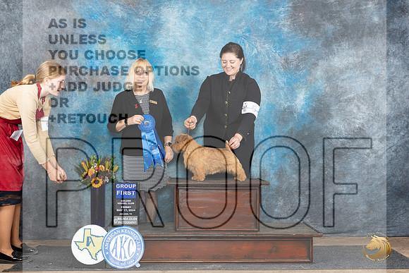 Norfolk Terrier #5 Fri G1 Judge Edy Dykstra-Blum__JP_9581_Abilene_2024_HR3